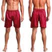 Plus Size Mens Silk Satin Pajamas Shorts Sleepwear Loungewear Pajama Underwear