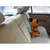 Car Travel Dog Cat Safe Seat Belt Restreint Lead Harness Collar 4 Colours -SG-UK