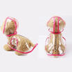 Transparent Pet Rain Coat for Dogs Pet Jacket Cute Casual Waterproof Dog Clothes