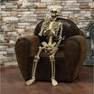 Halloween Prop Human Skeleton Full Size Skull Hand Life Body Anatomy Model Decor