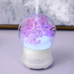 Creative eternal flower aromatherapy machine direct charging source ultrasonic humidifier household gifts fragrance expanding mach