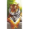 Large Lightweight Microfibre Beach Bath Sports Travel Camping Swim Gym Towel AU