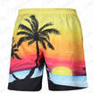 Emmababy USA Men Boardshorts Surf Beach Shorts Swim Wear Sports Trunks Pants