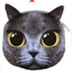 Pouch Bag New Cute Women Shoulder Bag Cat Face Cartoon Print Zipper Closure Messenger Clutch Coin Purse Bag Phone Bag B7W4F4L2