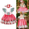 Newborn Girl Princess Dress Kids Baby Party Wedding Pageant Tutu Christmas Gifts