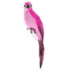 Lifelike Parrot Animal Tree Hanging Bird Model Toy Garden Home Decor Photo Prop