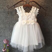 Elegant Feast Baby Girls Princess Lace Flower Tulle Tutu Gown Formal Party Dress