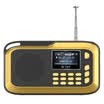 See me here H1 card radio elderly portable speakers mini music player small sound lv390 Jingdong version of the enjoyment of gold