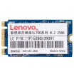 Lenovo Lenovo SL700 256G M2 2242 solid state series SSD SSD