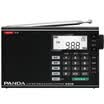 PANDA 6208 Portable Radio FM TF Music Player