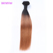 100g Weaves Brazilian Virgin Hair Processed Hair Weave 2 Tone Ombre Weave 100 Brazilian Virgin Straight Ombre Hair Extension