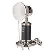 ISK S500 small bottle condenser microphone black professional recording shouting wheat network K song YY microphone