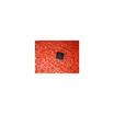 Free shipping NTP-3000 original in stock QFN 5pcslot