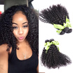 Brazilian Curly Virgin Hair 7A Unprocessed Brazilian Curly Virgin Hair Wet&Wavy Virgin Brazilian Hair Weave 3 Bundles Curly