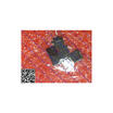 10PCS Free shipping R5538