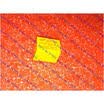 Free Shipping 50PCS HK4100F-DC5V-SHG