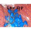 Free shipping 10PCS 6KV27P 6KV27J