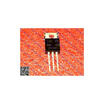 Free shipping 10PCS MBR20100CT Schottky tube 64