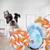 Huayuan pet hoopet dog toy set plush knot rope biting teddy dog ​​dog teeth interactive training toys