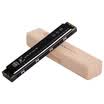 Guoguang GG24A-7 24-hole commemorative edition Polyphony C harmonica Athenian black