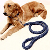 Hanhan Park dog chain dog rope small dog middle dog dog traction rope pet dog rope strap tied dog rope gold gold teddy dog ​​chain large dog traction rope L