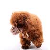 HANHANLEYUAN juego de boca para perro antiflama máscara de perro antiparazo juego de boca para perro Juego de perro pequeño de peluche para perro perro de mascota cubierta para la boca de perro 5ta mascota de 40 kg