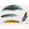 LMA Loma Personality 3D Sticker Color Feather Car Sticker