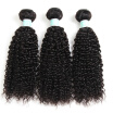 Malaysian Hair Products Kinky Curly Malaysian Virgin Human Hair Bundles Unprocessed Malaysian Human Hair 3 Bundles 10"-28"No Shedd