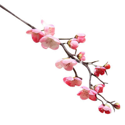 1PCS Chinese style dried branch small plum blossom cherry wedding flower artificial flower Home Wedding Party Decoration
1PCS Chinese style dried branch small plum blossom cherry wedding flower artificial flower Home Wedding Party Decoration