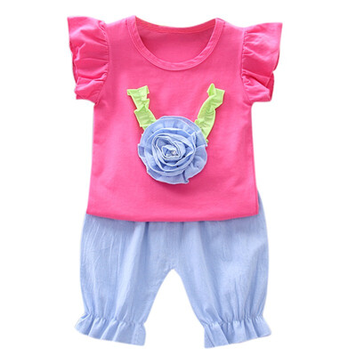 Baby Girl Clothes Set Cute Flowe Short Sleevesshort Set For Baby Boy Summer Casual Clothing Outfits
Baby Girl Clothes Set Cute Flowe Short Sleevesshort Set For Baby Boy Summer Casual Clothing Outfits