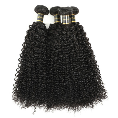 Amazing Star Curly Hair 4 Bundles Virgin Brazilian Hair Bundles Top Quality Human Hair Weave Natural Color
Amazing Star Curly Hair 4 Bundles Virgin Brazilian Hair Bundles Top Quality Human Hair Weave Natural Color