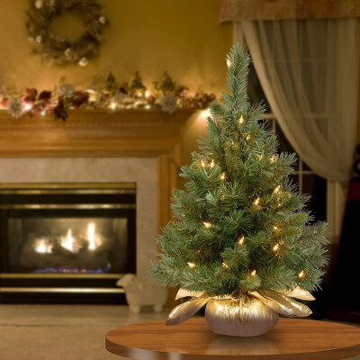 Willstar Christmas Tree Placed In The Desktop Mini Christmas Decoration for Home Xmas With 35 transparent lights
Willstar Christmas Tree Placed In The Desktop Mini Christmas Decoration for Home Xmas With 35 transparent lights