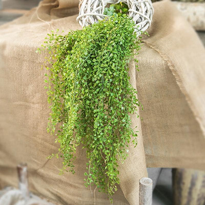 Simulation flower wholesale potted simulation plant money leaf wall hanging home decoration green plant potted fake flower Green
Simulation flower wholesale potted simulation plant money leaf wall hanging home decoration green plant potted fake flower Green