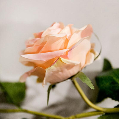 Yiwu supply Guangzhou artificial flower wholesale 18 meter rose rattan wedding home decoration fake flower ornament wall hanging
Yiwu supply Guangzhou artificial flower wholesale 18 meter rose rattan wedding home decoration fake flower ornament wall hanging