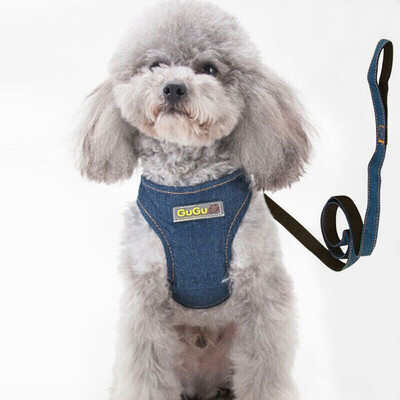 Dipper dog chain dog rope small medium dog dog vest chest strap traction rope pet dog leash dog hyena rope Teddy dog hyena chain chest strap traction M
Dipper dog chain dog rope small medium dog dog vest chest strap traction rope pet dog leash dog hyena rope Teddy dog hyena chain chest strap traction M