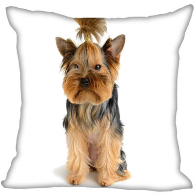 Yorkshire Terrier Pillow Cover Bedroom Home Office Decorative Pillowcase Square Zipper Pillow Cases Satin Fabric No Fade
Yorkshire Terrier Pillow Cover Bedroom Home Office Decorative Pillowcase Square Zipper Pillow Cases Satin Fabric No Fade