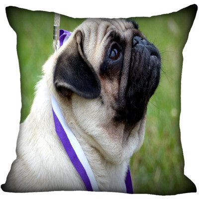Pug Pillow Case High Quality New Years Pillowcase Wedding Decorative Pillow Cover Gift For Children
Pug Pillow Case High Quality New Years Pillowcase Wedding Decorative Pillow Cover Gift For Children