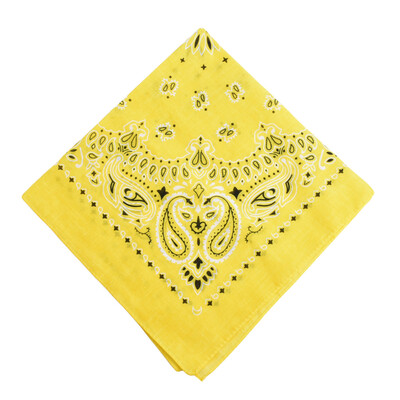 Men Women Square Scarf Paisley Bandana Hair Band Neckerchief Hip Hop Kerchief Unisex Headwear
Men Women Square Scarf Paisley Bandana Hair Band Neckerchief Hip Hop Kerchief Unisex Headwear