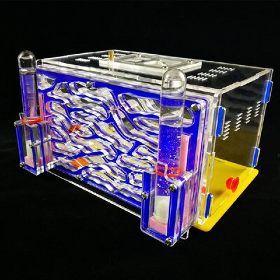 DIY Antgranery Moisture Feeding Area Ant Farm Acryl Insect Villa Pet Advanced Mania For House Ants Birthday Present Gift
DIY Antgranery Moisture Feeding Area Ant Farm Acryl Insect Villa Pet Advanced Mania For House Ants Birthday Present Gift