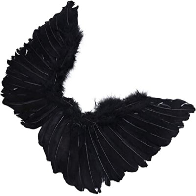 Willstar Halloween Decoration Angel Wings Halloween Theme Party Cosplay Costume for Child Adults
Willstar Halloween Decoration Angel Wings Halloween Theme Party Cosplay Costume for Child Adults