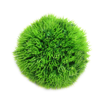 Mini Aquarium Plant Fish Tank Shrimp Nano For MARIMO Premium Quality MOSS BALLS Tank Decoration Ornament Decoration
Mini Aquarium Plant Fish Tank Shrimp Nano For MARIMO Premium Quality MOSS BALLS Tank Decoration Ornament Decoration