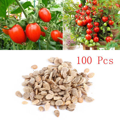 100pcs Red Color Tomato Seeds Potted Bonsai Balcony Fruit Vegetables Garden Balcony DecorationPotted Bonsai SeedsTomato Seeds
100pcs Red Color Tomato Seeds Potted Bonsai Balcony Fruit Vegetables Garden Balcony DecorationPotted Bonsai SeedsTomato Seeds