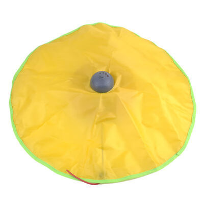 Cat Play Plate Under cover Fabric Moving Mouse Dog Toy Meow Play For Cat Kitty Funny As Seen On TV Toys
Cat Play Plate Under cover Fabric Moving Mouse Dog Toy Meow Play For Cat Kitty Funny As Seen On TV Toys