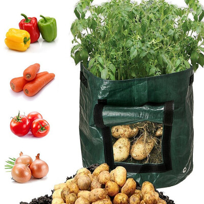 Gobestart DIY Potato Grow Planter PE Cloth Planting Container Bag Thicken Garden Pot
Gobestart DIY Potato Grow Planter PE Cloth Planting Container Bag Thicken Garden Pot