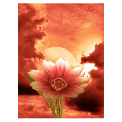 Fantasy Fairy Forest Flowers 5D DIY Full Diamond Painting Art Drawing Crafts Embroidery Needlework for Home Wall Decor
Fantasy Fairy Forest Flowers 5D DIY Full Diamond Painting Art Drawing Crafts Embroidery Needlework for Home Wall Decor