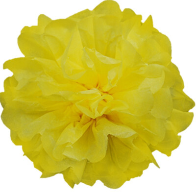 13cm Tissue Pom Poms Paper Flower Ball For Birthday Party Wedding Decoration Baby Shower Bridal Shower Festival Decorations
13cm Tissue Pom Poms Paper Flower Ball For Birthday Party Wedding Decoration Baby Shower Bridal Shower Festival Decorations