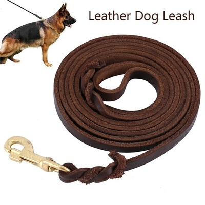 Fairwin Braided Leather Dog Leash 6 ft - K9 Walking Training Leads for German Shepherd
Fairwin Braided Leather Dog Leash 6 ft - K9 Walking Training Leads for German Shepherd