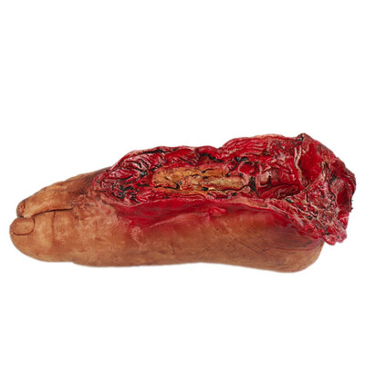 Hot Broken Hand Foot With Rope Blood Horror Halloween Decoration Severed Bloody Limbs Hand Novelty Dead Broken Hand Gadgets
Hot Broken Hand Foot With Rope Blood Horror Halloween Decoration Severed Bloody Limbs Hand Novelty Dead Broken Hand Gadgets