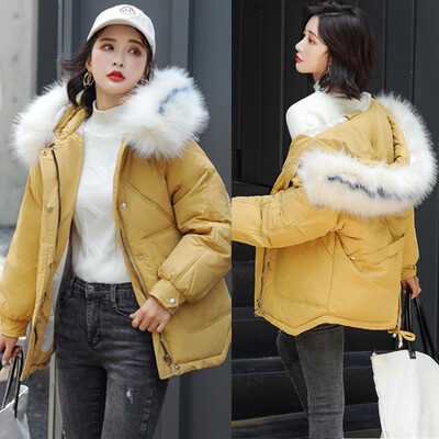 Toponeto Fashion Womens Tie dyeing Print Coat Outwear Sweatshirt Hooded Jacket Overcoat
Toponeto Fashion Womens Tie dyeing Print Coat Outwear Sweatshirt Hooded Jacket Overcoat