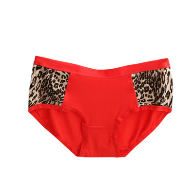 Toponeto Women Leopard Print Sexy Seamless Briefs Low-Rise Underpants Lingerie Underwear
Toponeto Women Leopard Print Sexy Seamless Briefs Low-Rise Underpants Lingerie Underwear